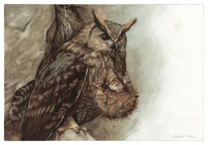 Hibou au Panier, carte postale de Jean-Baptiste Monge