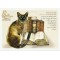 Carte Postale Chaerazade Chats Enchantés illustré par Séverine Pineaux