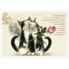 Carte Postale Chavalentin Chats Enchantés illustré par Séverine Pineaux