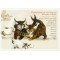 Carte Postale Chaperlipopette et Chapristi Chats Enchantés illustré par Séverine Pineaux