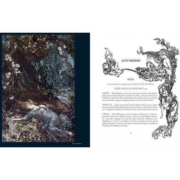 Songe d'une nuit d'été de William Shakespeare 9782843624612 Songe d'une nuit d'été de William Shakespeare 9782843624612