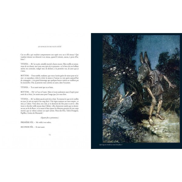 Songe d'une nuit d'été de William Shakespeare 9782843624612 Songe d'une nuit d'été de William Shakespeare 9782843624612