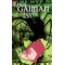 Anansi Boys de Neil Gaiman