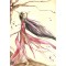 Carte postale Elfe Japonaise de Delphine Gache