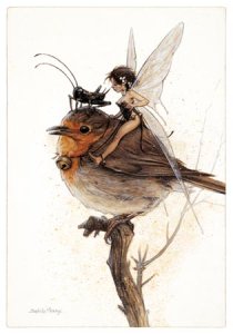 Carte Postale De Jean-Baptiste Monge, Fée et Rouge-gorge sur la Branche