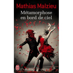 Métamorphose en bord de ciel de Mathias Malzieu