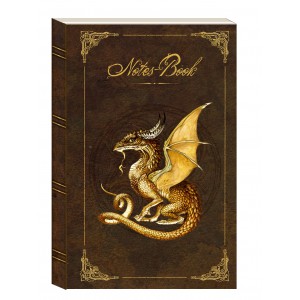 Carnet Dragon Or de Séverine Pineaux 