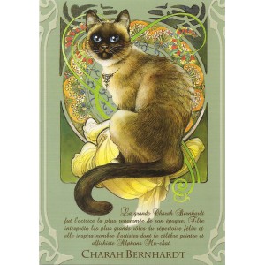 Charah Bernhardt, Carte postale de Séverine Pineaux - Les Histochats