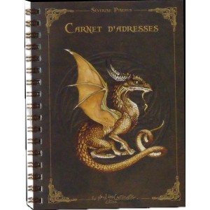 Carnet d'adresses Dragon de Séverine Pineaux, un répertoire original tiré de Dragons petit traité