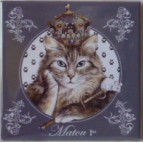 Magnet de chat de Séverine Pineaux, Matou 1er, aimant décoratif des Histochats