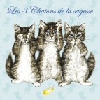 Magnet Chaton de la sagesse