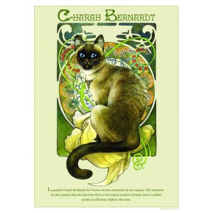 Affichette de chat de Séverine Pineaux, Charah Bernardt, de la collection Histochats