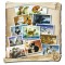 Lot des 12 cartes postales de chats de Séverine Pineaux, collection Chats enchantés 2014, éd. Au Bord des Continents...
