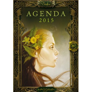 Agenda des fées de Sandrine Gestin, agenda annuel 2015 aux éditions Au Bord des Continents...