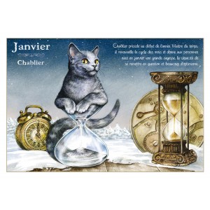 Carte postale de chat de Séverine Pineaux, mois de Janvier Chablier