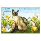 Carte postale de chat de Séverine Pineaux, mois d'Avril, Chanulard