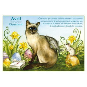 Carte postale de chat de Séverine Pineaux, mois d'Avril, Chanulard