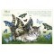 Carte postale de chat de Séverine Pineaux, mois de Mai, Chapillon
