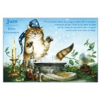 Carte postale de chat de Séverine Pineaux, mois de Juin, Félin l'enchanteur