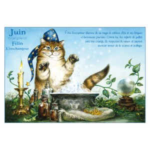 Carte postale de chat de Séverine Pineaux, mois de Juin, Félin l'enchanteur