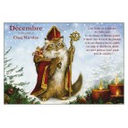 Carte postale de chat de Séverine Pineaux, mois de Décembre, Chat Nicolas