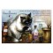 Chapothicaire, carte postale de chat de Séverine Pineaux. Coll. Métiers des chats, éd. Au Bord des Continents