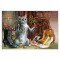 Chabotier, carte postale de chat de Séverine Pineaux. Coll. Métiers des chats, éd. Au Bord des Continents