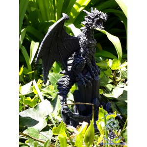 Une figurine d'un dragon perché sur des cristaux