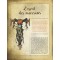 Sombres Féeries de Pascal Moguérou, beau livre illustré aux éditions Le Lombard