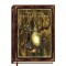Petit grimoire Légendes de Brocéliande de Xavier Husson, éd. Au Bord des Continents...