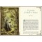 Petit grimoire Légendes de Brocéliande de Xavier Husson, éd. Au Bord des Continents...