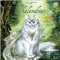 Calendrier des Chats 2018 de Séverine Pineaux, calendrier mural Au Bord des Continents...