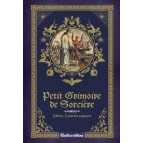 Petit grimoire de Sorcière, potions et plantes magiques de Erika Laïs, éd. Rustica