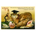 Carte postale de chat de Séverine Pineaux, Le Chavant, coll. Caractère de chat. Editions Au Bord des Continents...