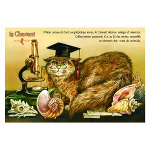 Carte postale de chat de Séverine Pineaux, Le Chavant, coll. Caractère de chat. Editions Au Bord des Continents...