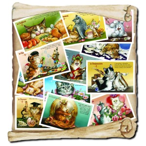 12 cartes postales de chats de Séverine Pineaux - Caractère de chat, éd. Au Bord des Continents...