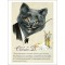 Petit grimoire des Chats enchantés : Artistes et Chaventuriers, livre sur les chats de Séverine Pineaux