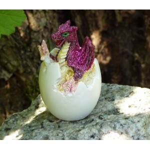 Bébé dragon rose, un mini dragon dans son œuf
