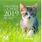 Agenda du Chat 2019, petit agenda de poche, éditions Rustica