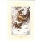 La Forêt Magique, Coffret de cartes d'art de Séverine Pineaux, coll. Ysambre