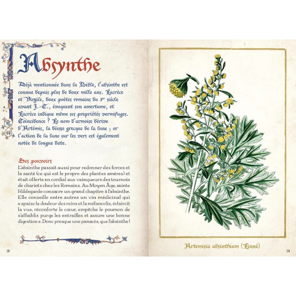 Livre Secrets Et Vertus des Plantes Médicinales