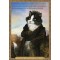 Carte postale de chat historique de Séverine Pineaux, Vicomte de Chatonbriand - Histochats 2019.
