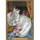 Carte postale de chat historique de Séverine Pineaux, Mme de Chatonpadour - Histochats 2019.