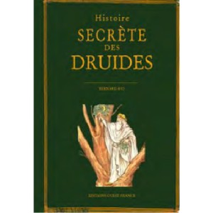 Histoire secrète des druides de Bernard Rio, éditions Ouest-France
