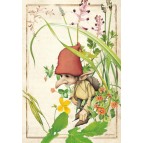 Lutin des plantains, carte postale féerique de Brucero