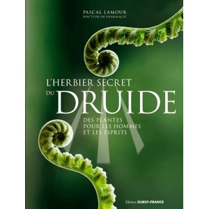 L'herbier secret du druide, des plantes pour les hommes et les esprits de Pascal Lamour