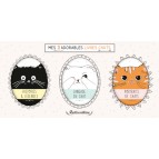 Mes trois adorables livres chats de Brigitte Bulard-Cordeau. Coffret de 3 livres sur les chats.
