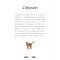 Mes trois adorables livres chats de Brigitte Bulard-Cordeau. Coffret de 3 livres sur les chats.