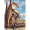 Carte postale de Brucero : L'Elfe et son dragon