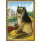 Carte postale chat historique de Séverine Pineaux, Ch'Anne de Bretagne – Histochats 2020